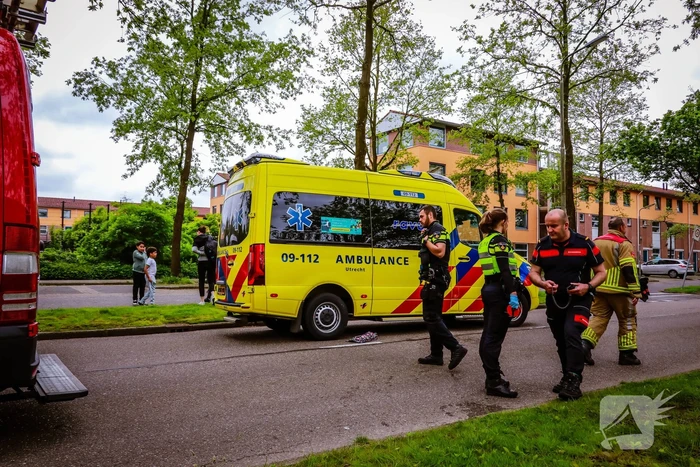 Broer springt in het water om zusje te redden