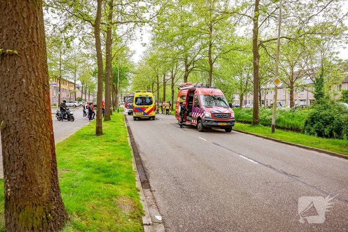 Broer springt in het water om zusje te redden