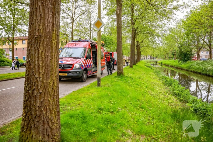 Broer springt in het water om zusje te redden