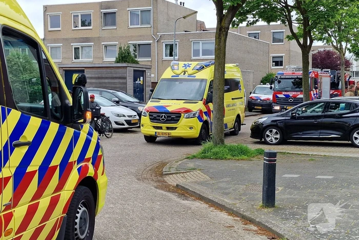 nieuws j.a. zandlevenstraat zaandam