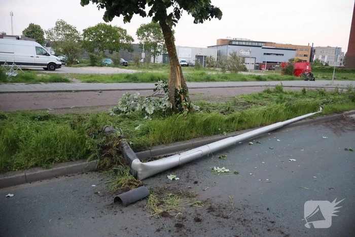 Grote ravage nadat auto crasht