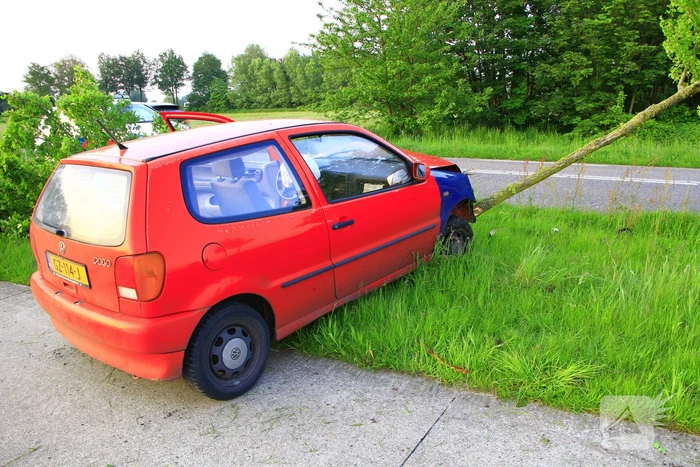 Automobilist raakt van de weg en klapt op boom
