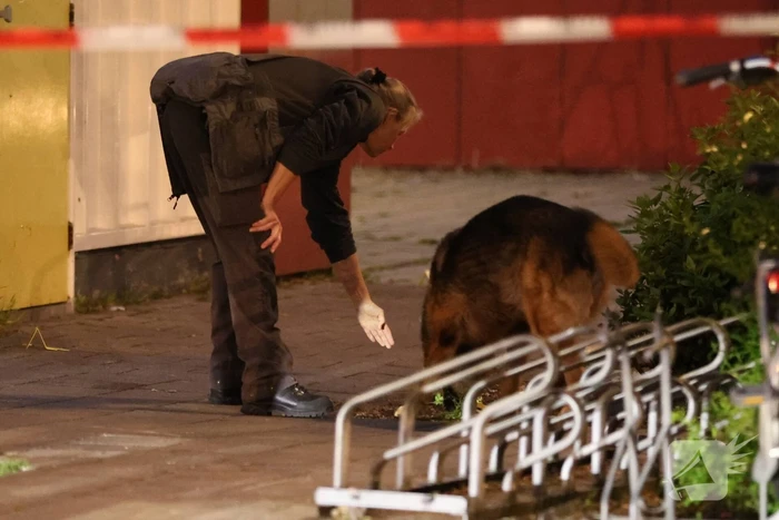 Twee minderjarigen gezocht na schietpartij