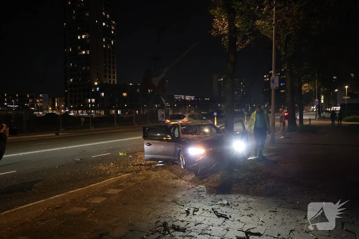 Automobilist klapt op boom