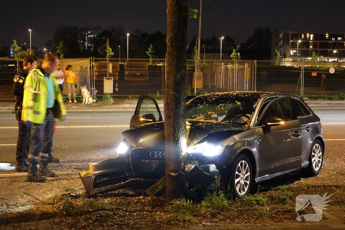 Automobilist klapt op boom