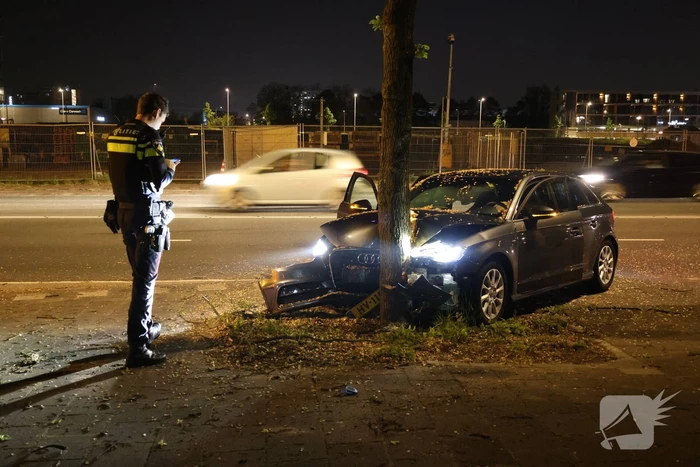 Automobilist klapt op boom