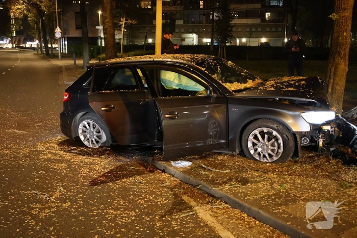 Automobilist klapt op boom