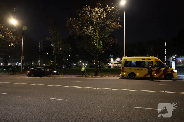Automobilist klapt op boom