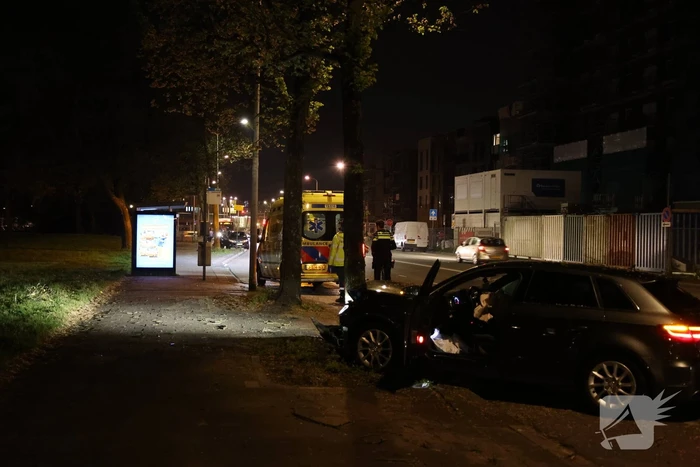 Automobilist klapt op boom