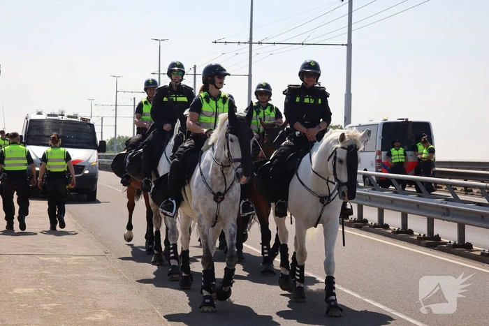 nieuws nelson mandelabrug - n225 arnhem