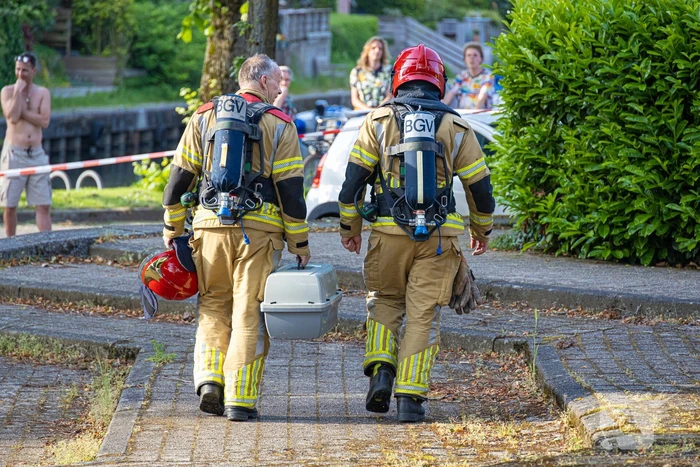 Kat uit woning gehaald na brand