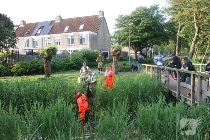 nieuws dr. w. dreesstraat katwijk