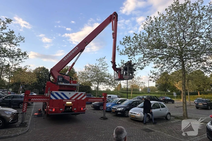 nieuws oostzanddijk hellevoetsluis