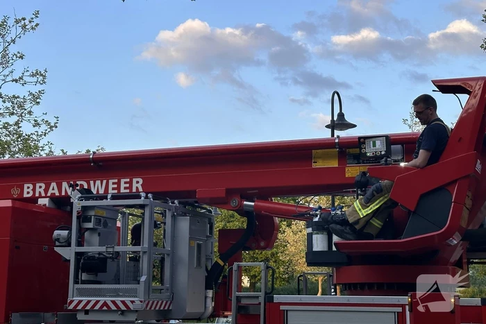 Brandweer haalt kraai uit boom