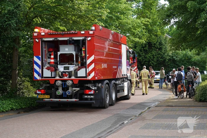 Flinke brand in coniferenhaag