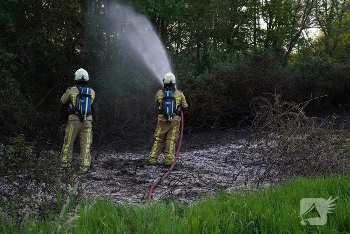 Tientallen vierkante meters natuurgebied verwoest door Brand