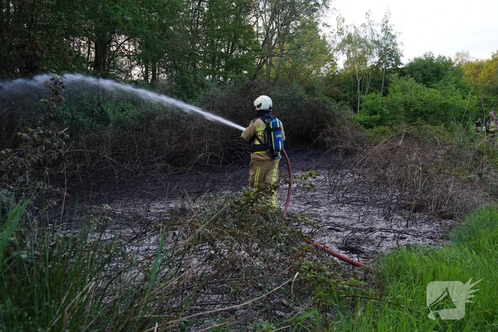 Tientallen vierkante meters natuurgebied verwoest door Brand
