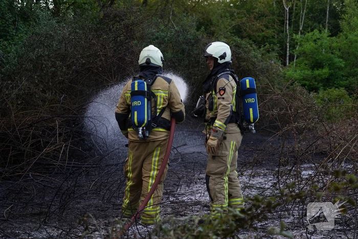 Tientallen vierkante meters natuurgebied verwoest door Brand