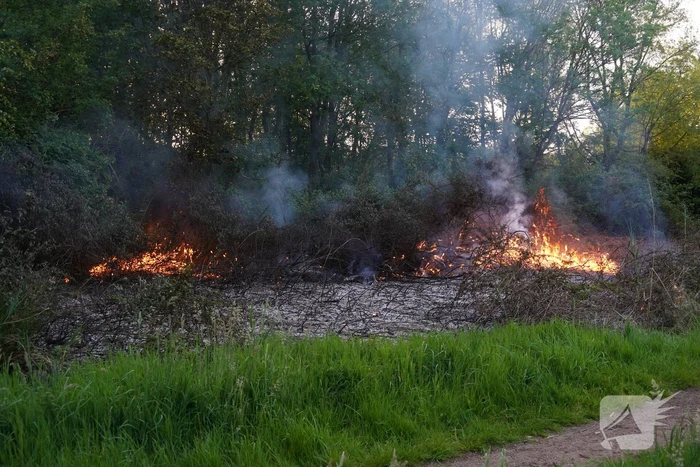 Tientallen vierkante meters natuurgebied verwoest door Brand