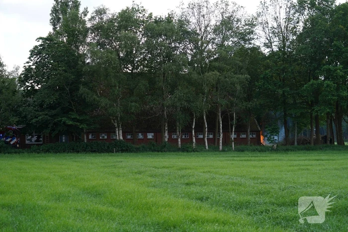 Meerdere brandhaarden rondom boerderij