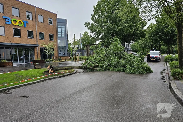 natuur plesmanstraat veenendaal