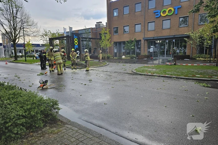 Weg geblokkeerd door omgevallen boom