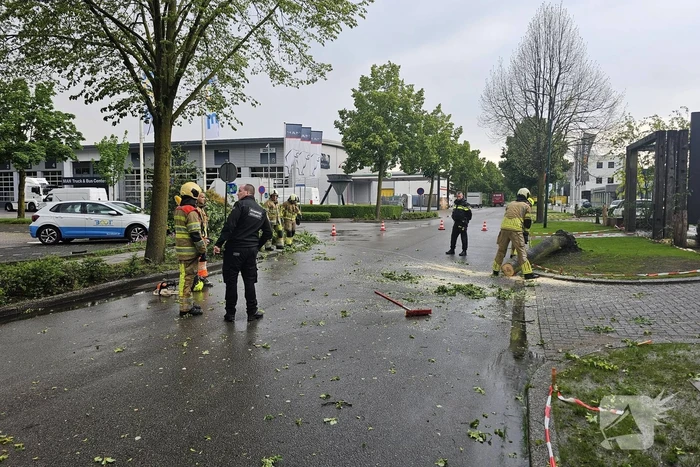 Weg geblokkeerd door omgevallen boom