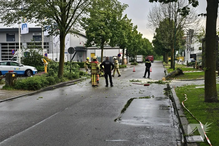 Weg geblokkeerd door omgevallen boom