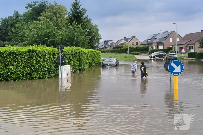 natuur alkenstraat - n754 hasselt