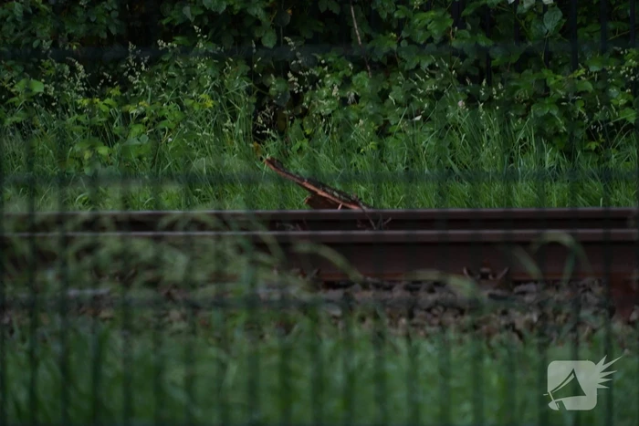 natuur parallelweg emmen