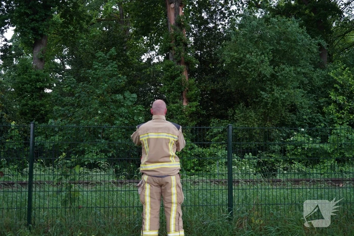 Geen treinen vanwege takken op spoor