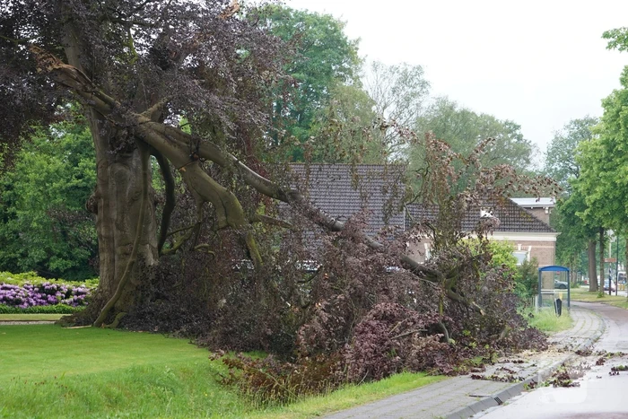natuur groningerstraat vries