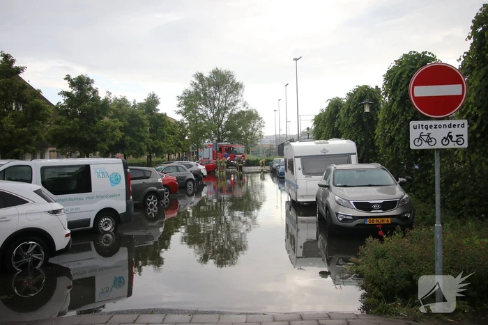 natuur golfweg noordwijk