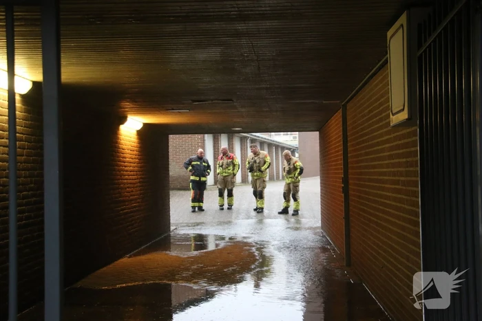 natuur jan van henegouwenweg noordwijk