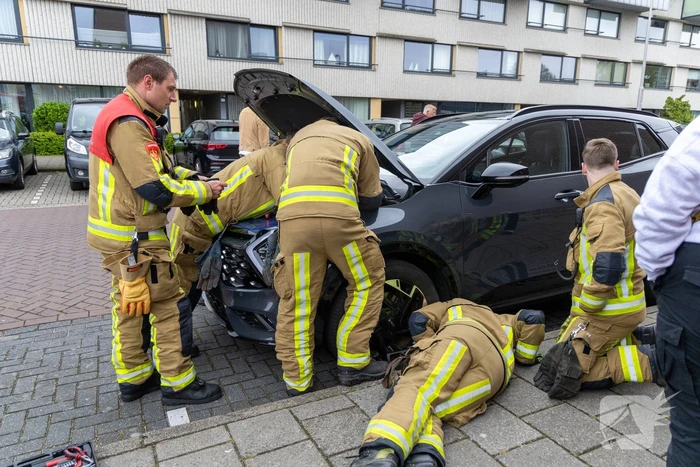 Kat opgesloten onder motorkap auto