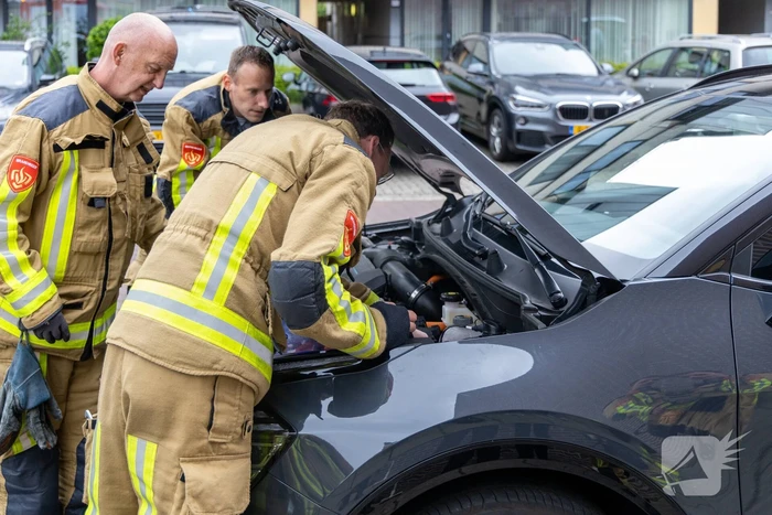 Kat opgesloten onder motorkap auto