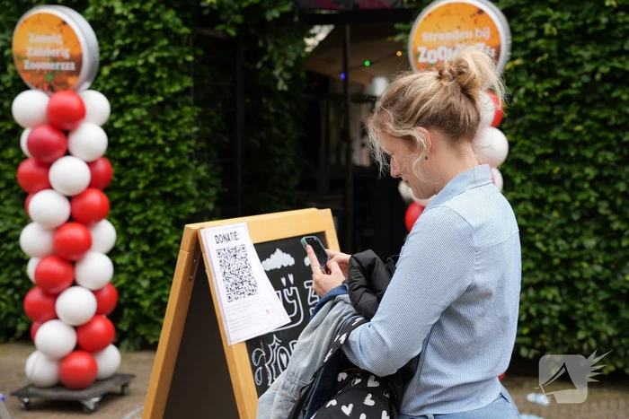 Groot stoepkrijtkunstwerk om geld op te halen voor Prinses Máxima Centrum