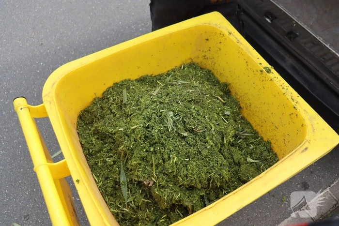 Twee mannen opgepakt bij inval drugspand