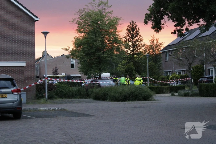 nieuws kievitsbloem dalfsen