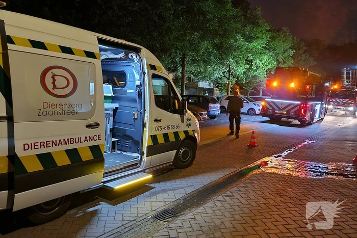 Elektrisch voertuig zorgt voor felle brand en forse schade
