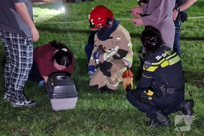 Elektrisch voertuig zorgt voor felle brand en forse schade