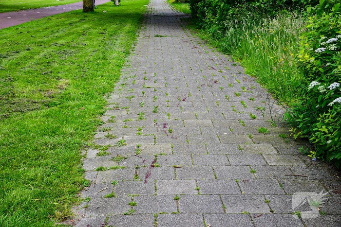 Persoon gewond na schietpartij