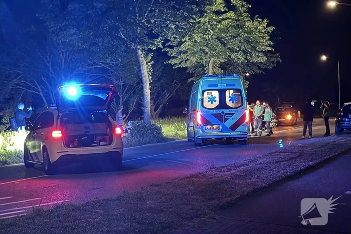 Automobilist raakt van de weg en klapt op boom