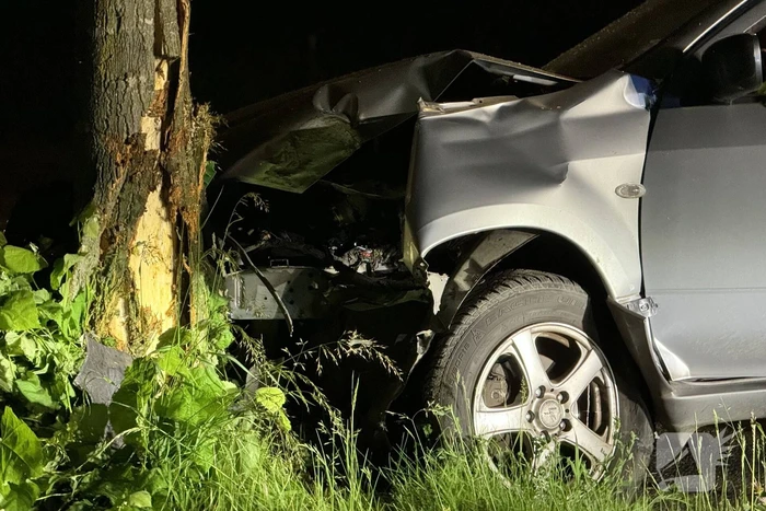 Automobilist raakt van de weg en klapt op boom