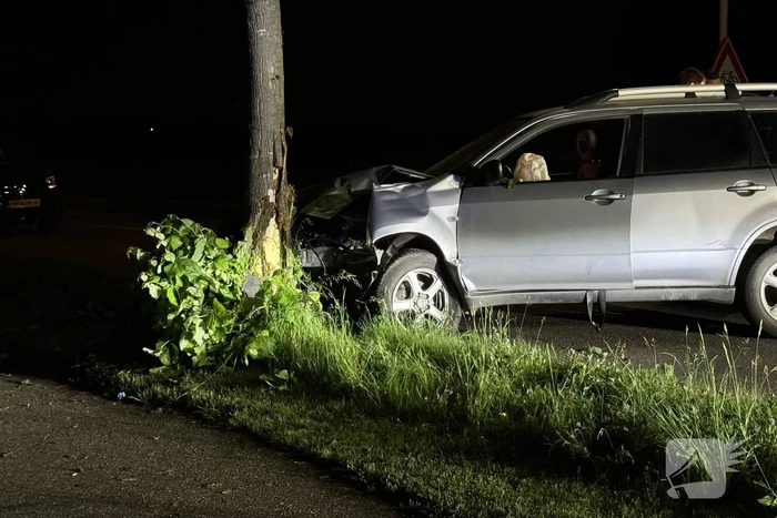 Automobilist raakt van de weg en klapt op boom