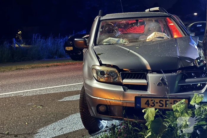 Automobilist raakt van de weg en klapt op boom
