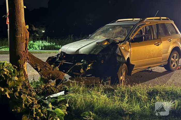 Automobilist raakt van de weg en klapt op boom