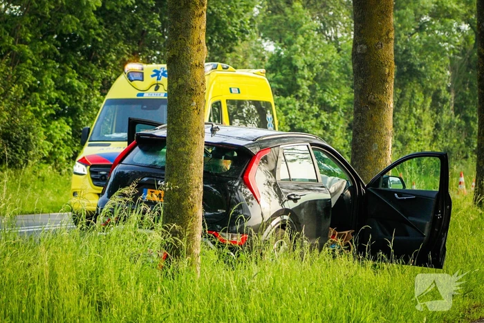 Automobilist eindigt tegen boom