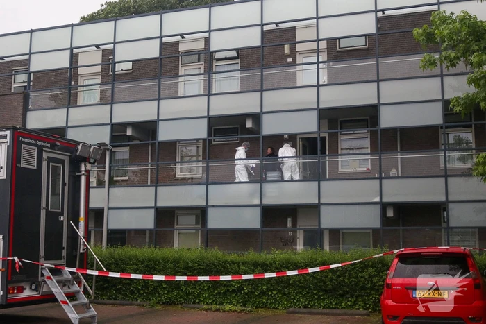 nieuws wildpleintje goirle