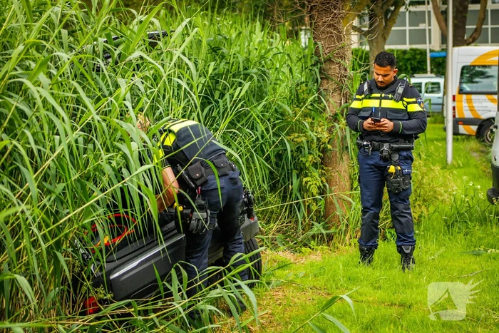 Auto eindigt in het riet